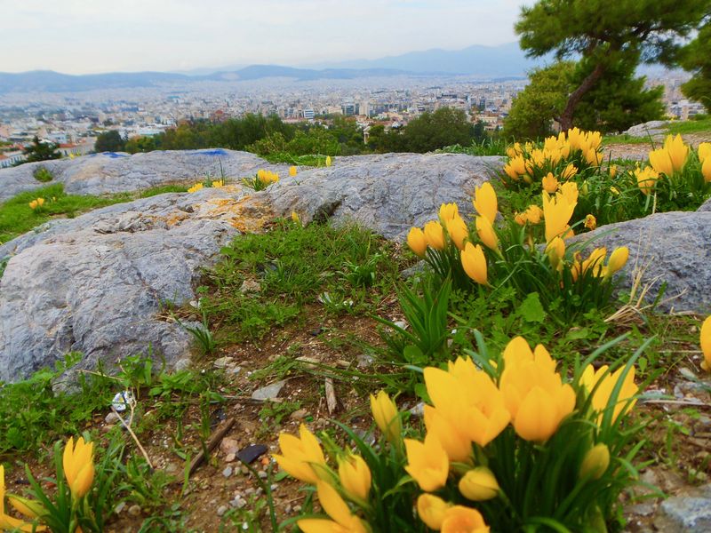 spring_filipappou