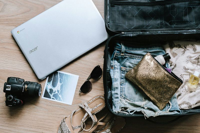 valise